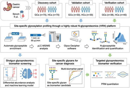 大连化物所成功开发高精度蛋白质组分析系统，初步临床结果亮眼