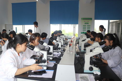 生物技术专业简介 前沿研究与创新开发