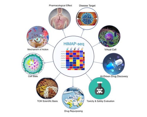 王栋、邓赟与许俊泉团队开发HiMAP-seq新技术并构建三亿量级药物基因表达数据库CIGS，引领生物技术新前沿