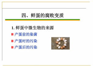 食品的微生物污染及其控制 生物技术研究与开发的前沿应用