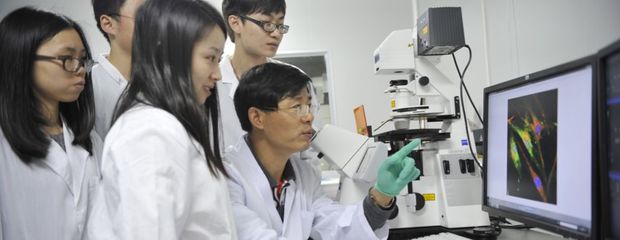 冻干大“肌”遇丨《冻干简史》白皮书① 生物技术研究与开发