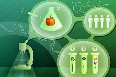 生物技术研究与开发 农学领域的璀璨明星，打造职场新宠的十大专业路径