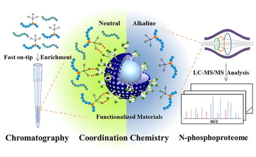 大连化物所开发n磷酸化蛋白质组深度覆盖分析新方法